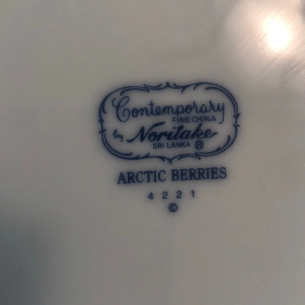 Four (4) Noritake Arctic Berries Dinner Plates